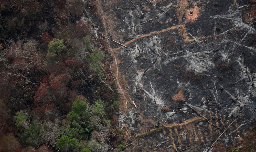 Desmatamento na Amazônia